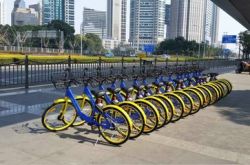 [教程经验]九江市工厂咨询热线电话_哔哩哔哩